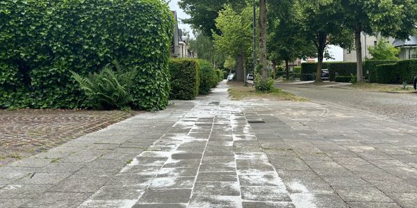 Foto van de voetpaden in de Meerlenlaan